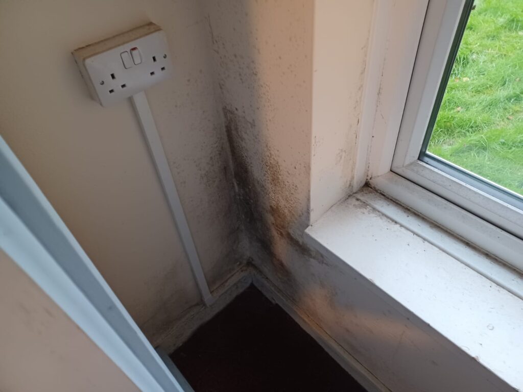 Damp and mould disrepair issue.