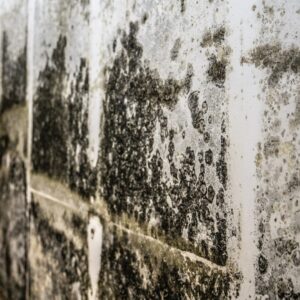 Blackpool Facts and housing disrepair