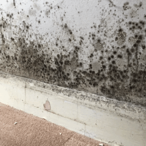 Gorton Football and Housing Disrepair Support Manchester