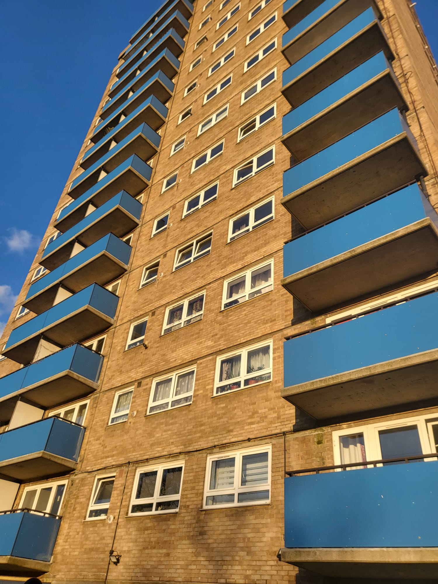 Housing Disrepair in a tower block