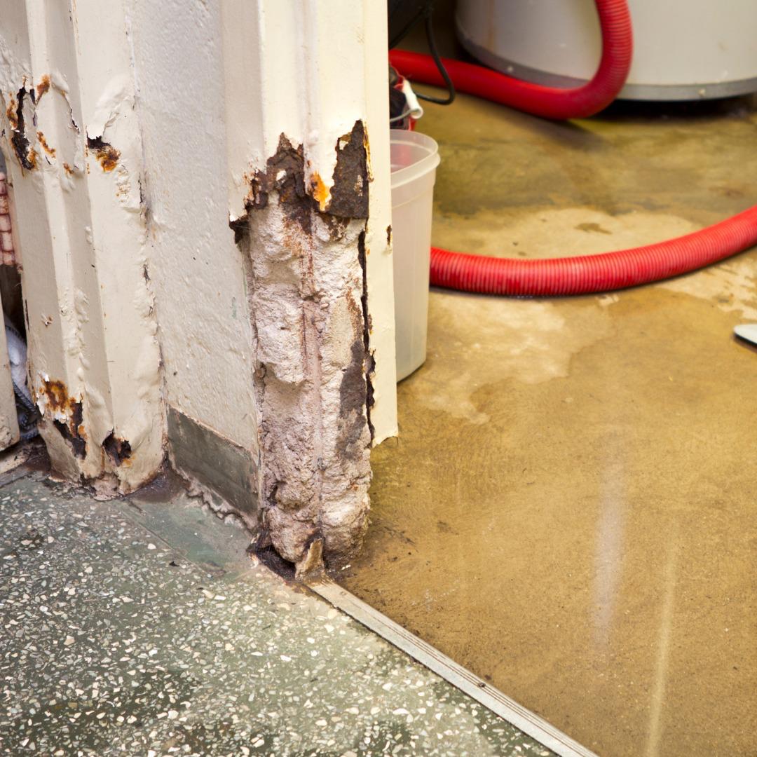 Housing Disrepair Case Study &ndash; Iqbal&rsquo;s Story in Cheetham Hill