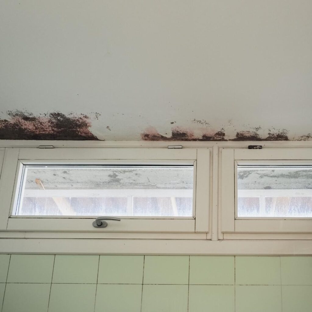 Black mould build up around the window