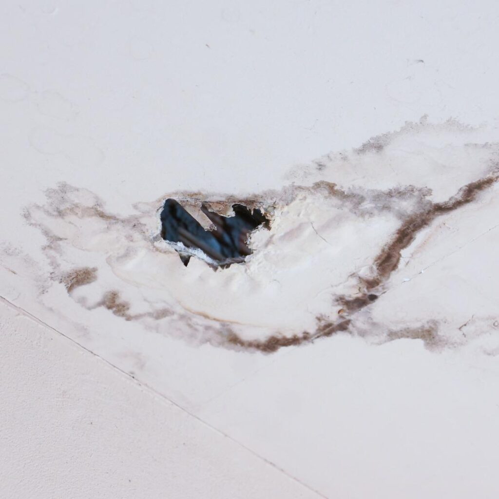 Hole in roof causing leak