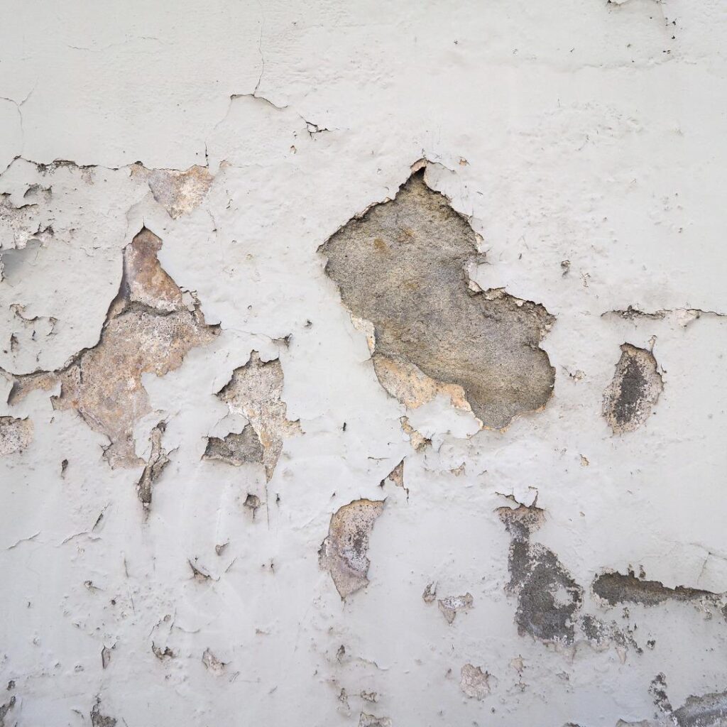 Paint pealing due to damp walls
