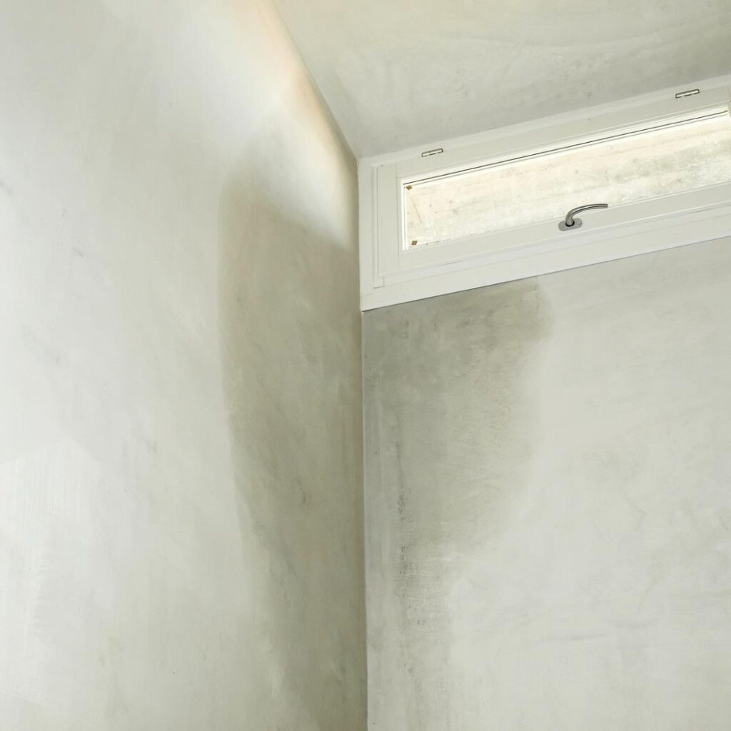 Penetrating damp and mould in Clayton