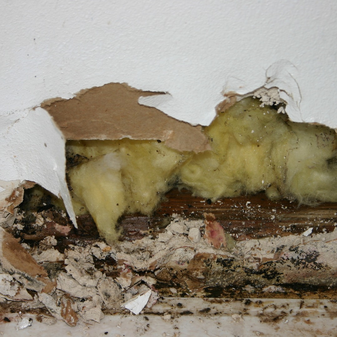 Blackpool Housing Disrepair