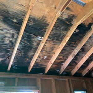 Damp and black mould in a council housing property in Rochdale