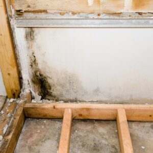 Damp and mould in a Manchester rented property