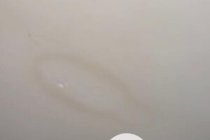 Damp and mould in rented property in Fleetwood