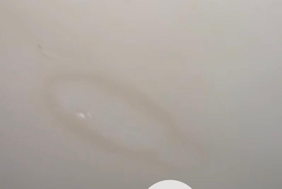 Damp and mould in rented property in Fleetwood