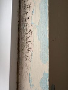 Damp and mould in rented property in Aylesbury