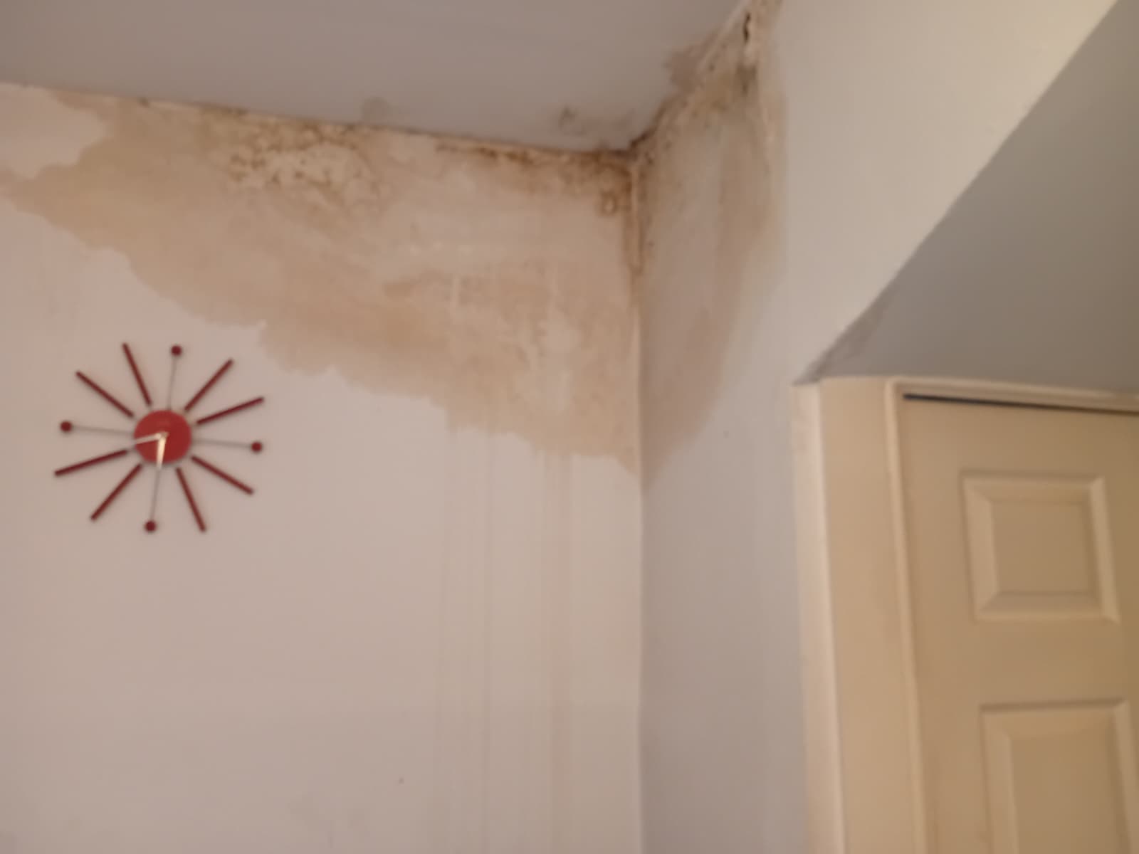Housing disrepair in Ellesmere Port showing damp and mould in a rented property