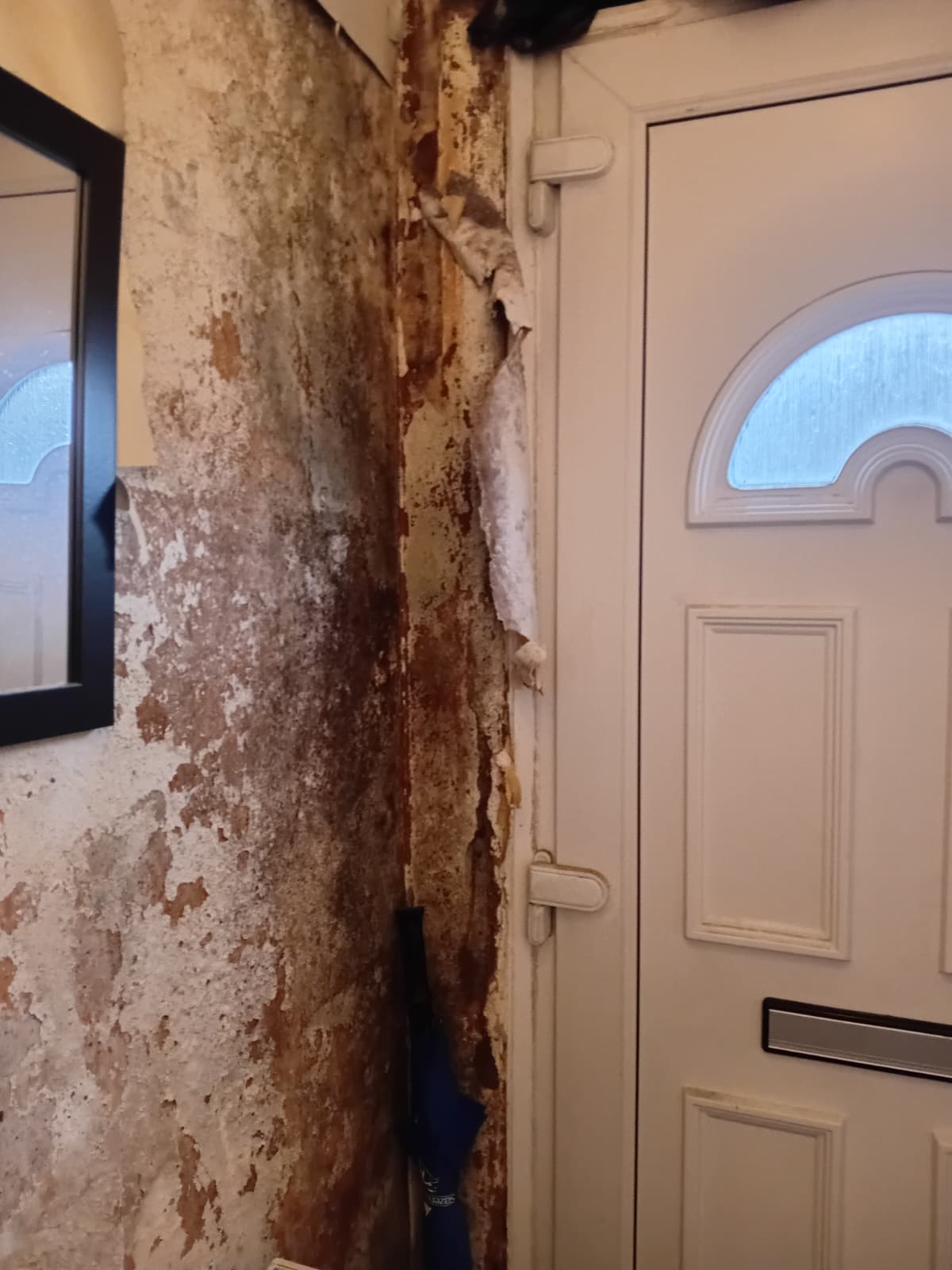 Housing disrepair in Bishop Auckland showing damp and mould in a rented property