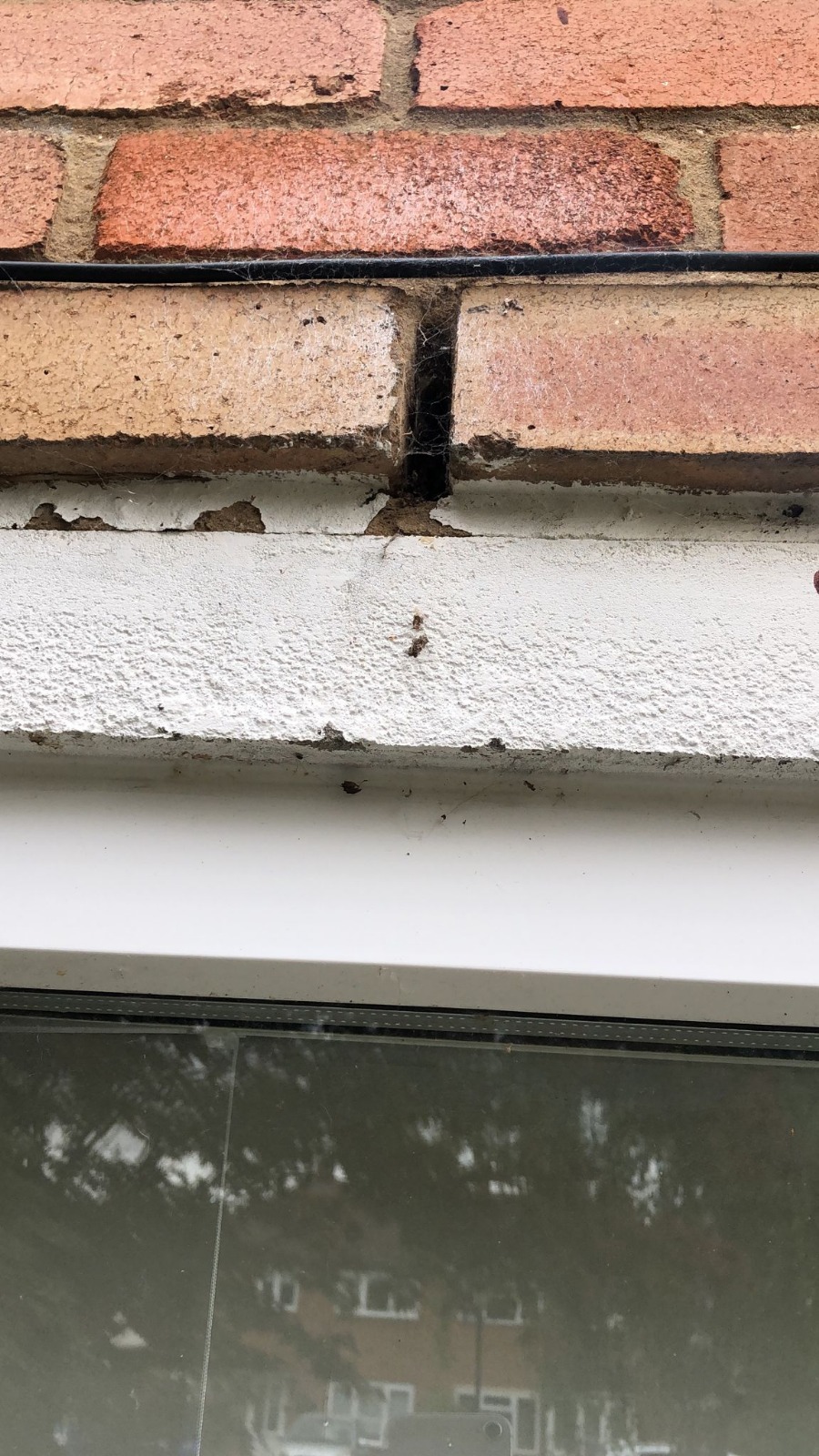 Damp wall, mould, broken boiler, and unhealthy home conditions illustrating housing disrepair and tenant issues.
