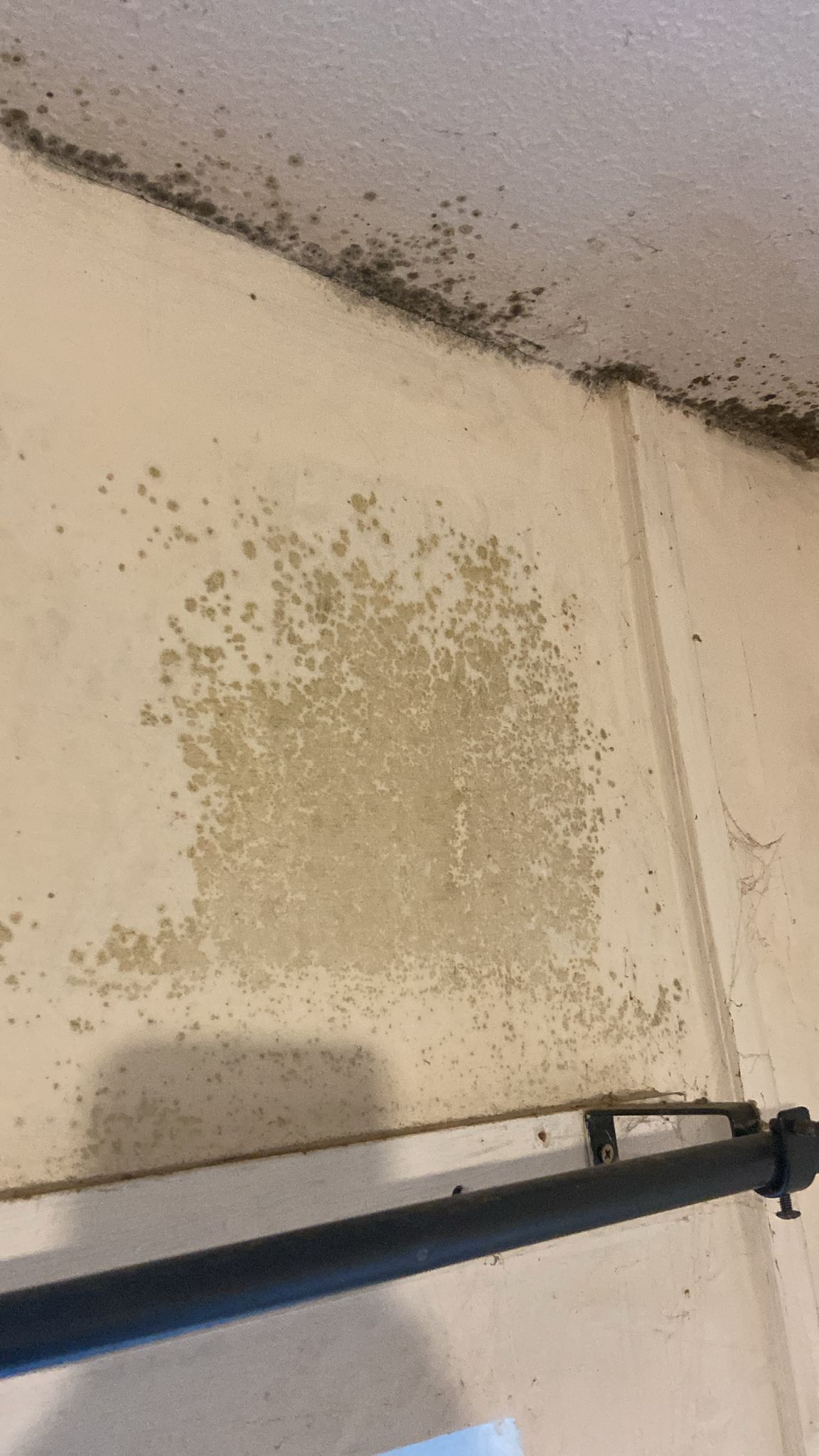 Damp and mould problems in a rented home in Brinnington, Stockport