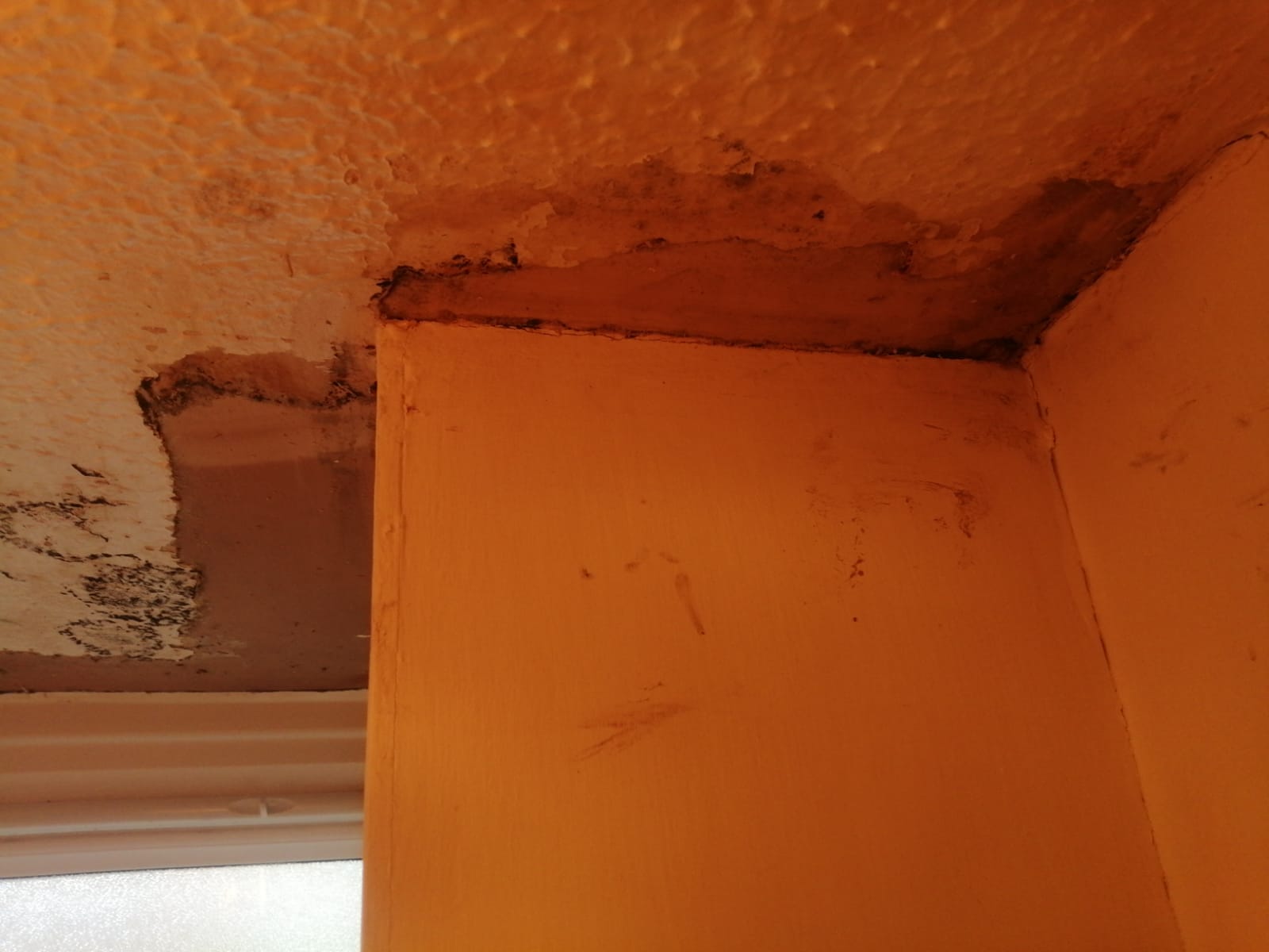 Severe damp and mould in Halifax bathroom causing breathing problems