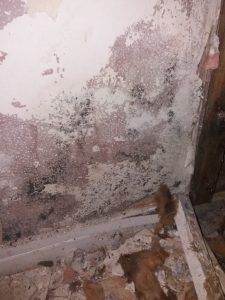 Tenant inspecting leaking ceiling in Adswood house, Stockport