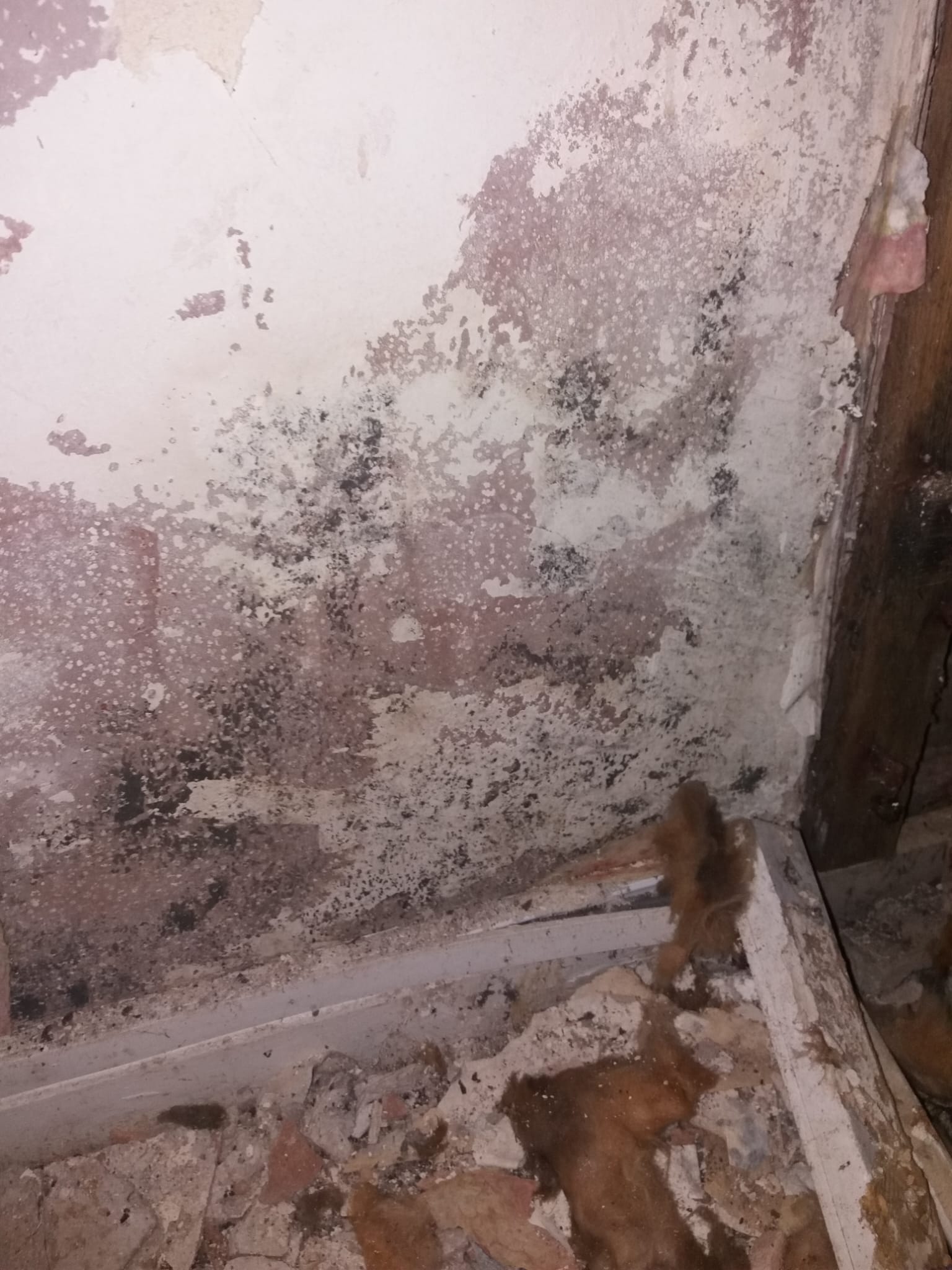 Tenant inspecting leaking ceiling in Adswood house, Stockport