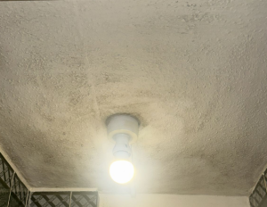 Severe damp and mould in Preston bathroom causing breathing problems