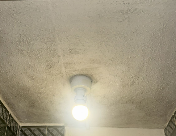 Severe damp and mould in Preston bathroom causing breathing problems
