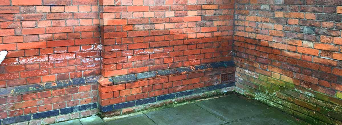 Damp and mould in a rented property in Chester caused by delayed housing repairs and poor maintenance