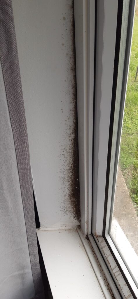 Damp and mould in a rented property in Manchester caused by delayed housing repairs and poor maintenance