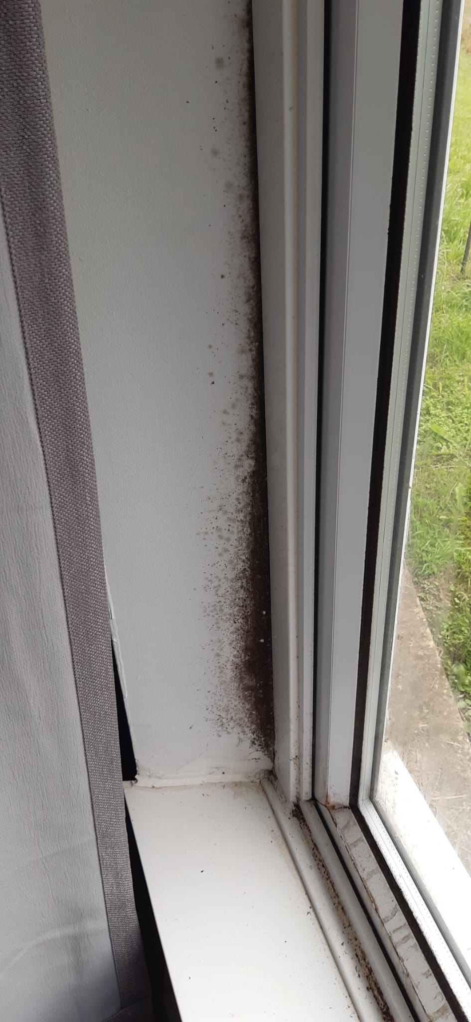 Damp and mould in a rented property in Manchester caused by delayed housing repairs and poor maintenance