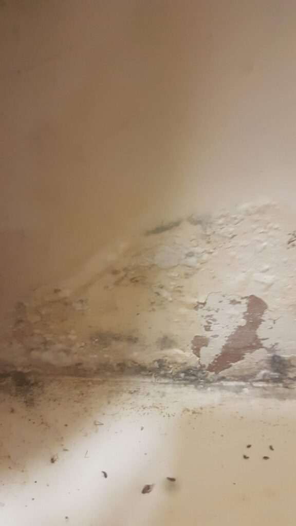 Housing Disrepair Caused by Delayed Repairs