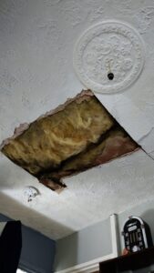 Housing disrepair in Acton showing damp and mould in a rented property