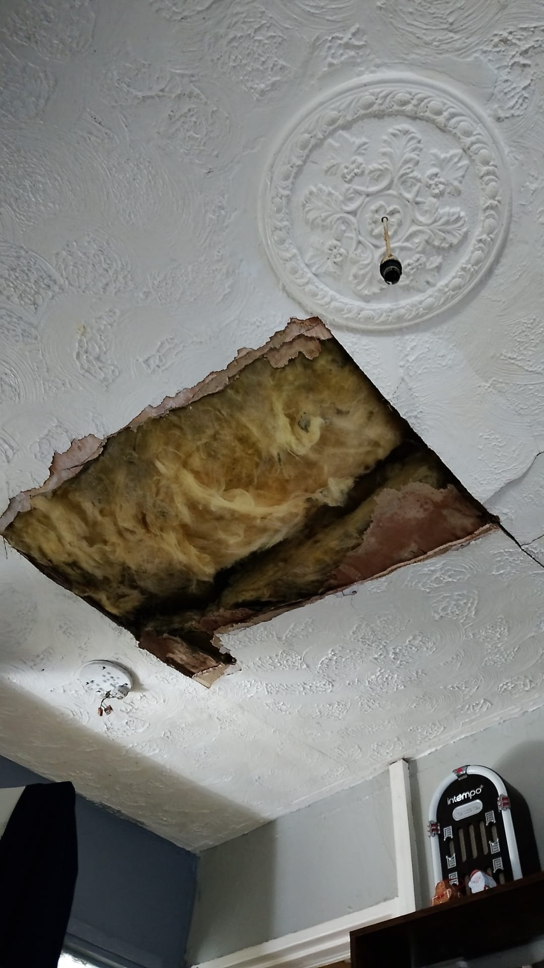 Housing disrepair in Acton showing damp and mould in a rented property