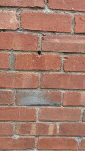 Housing disrepair in Accrington showing damp and mould in a rented property