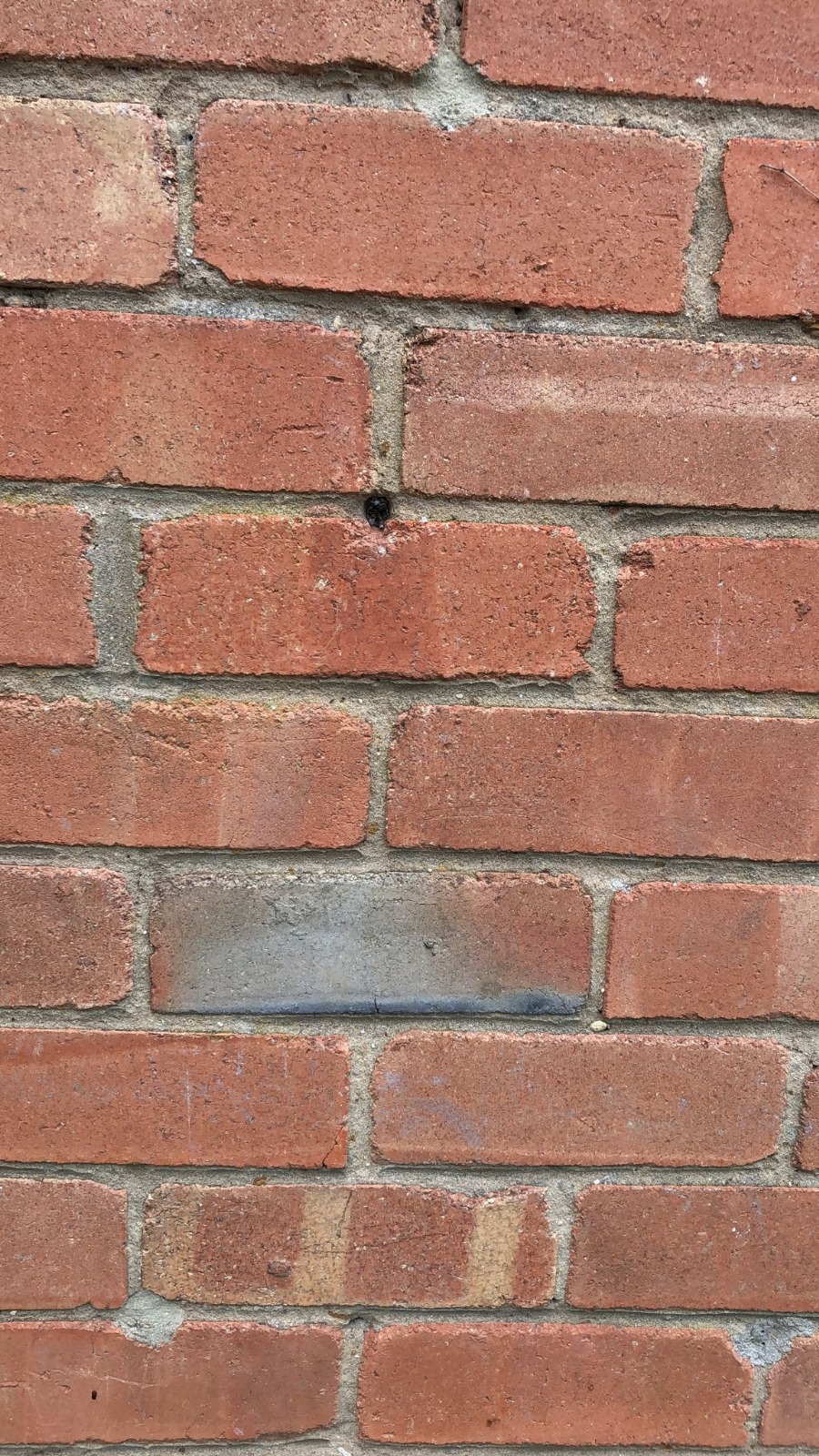 Housing disrepair in Accrington showing damp and mould in a rented property