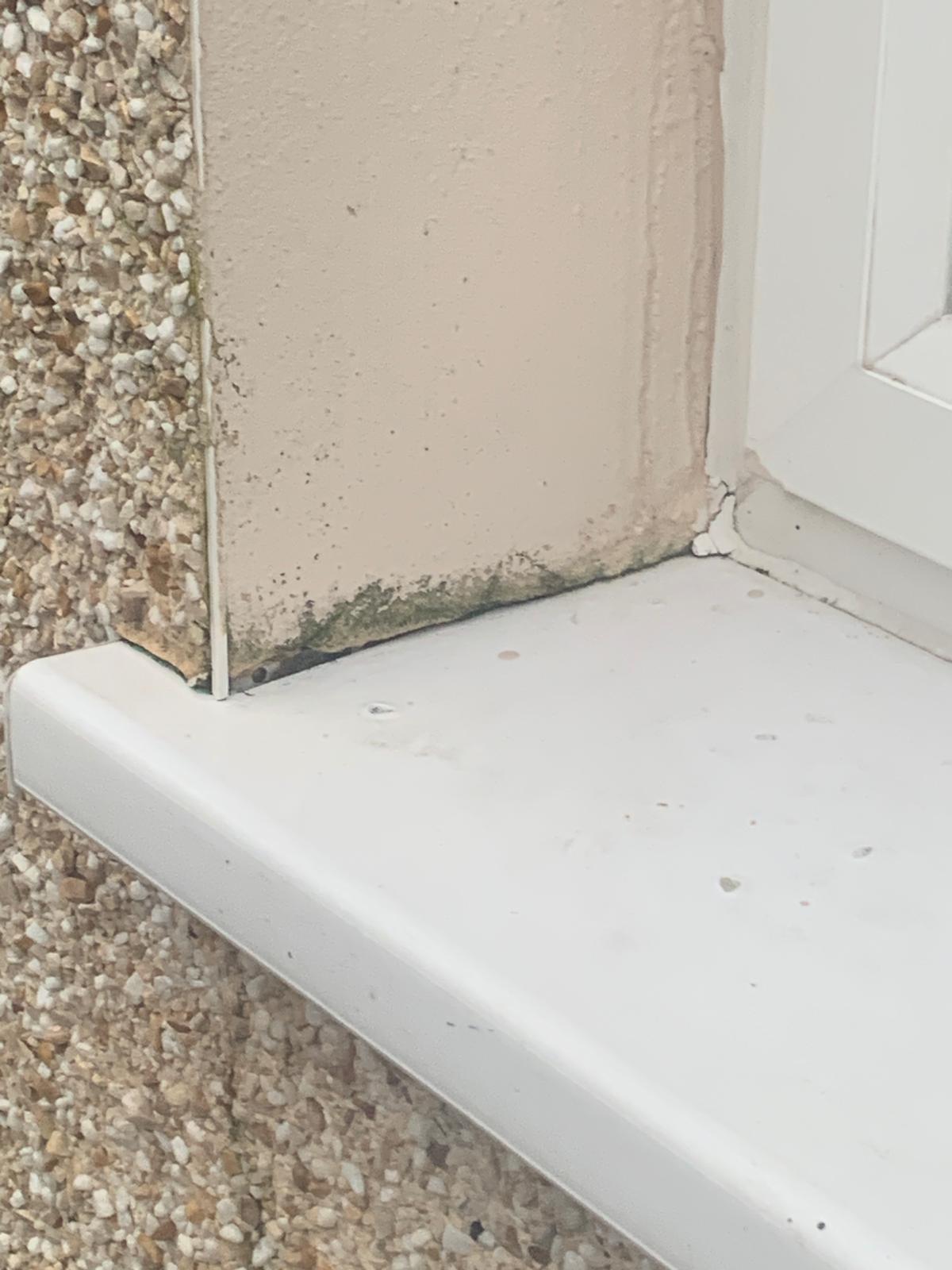 Damp and mould issues in a rented property in Altrincham, Greater Manchester