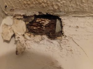Black mould in a council property in Glossop High Peak