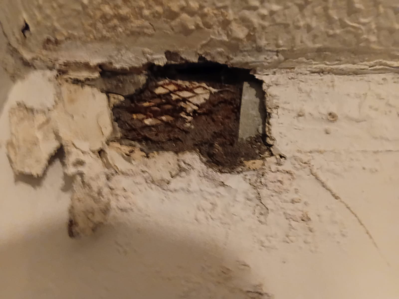 Black mould in a council property in Glossop High Peak