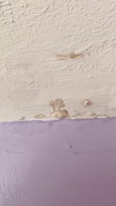 Black mould growing on bedroom wall in rented property in Dover due to unresolved damp issues