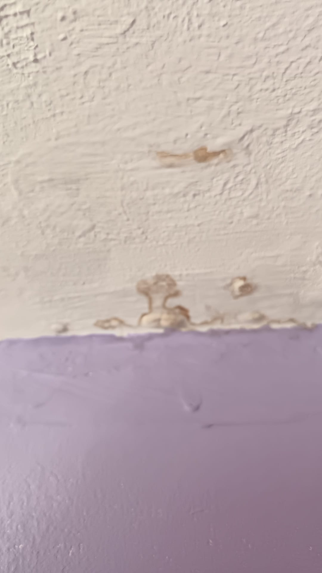 Black mould growing on bedroom wall in rented property in Dover due to unresolved damp issues