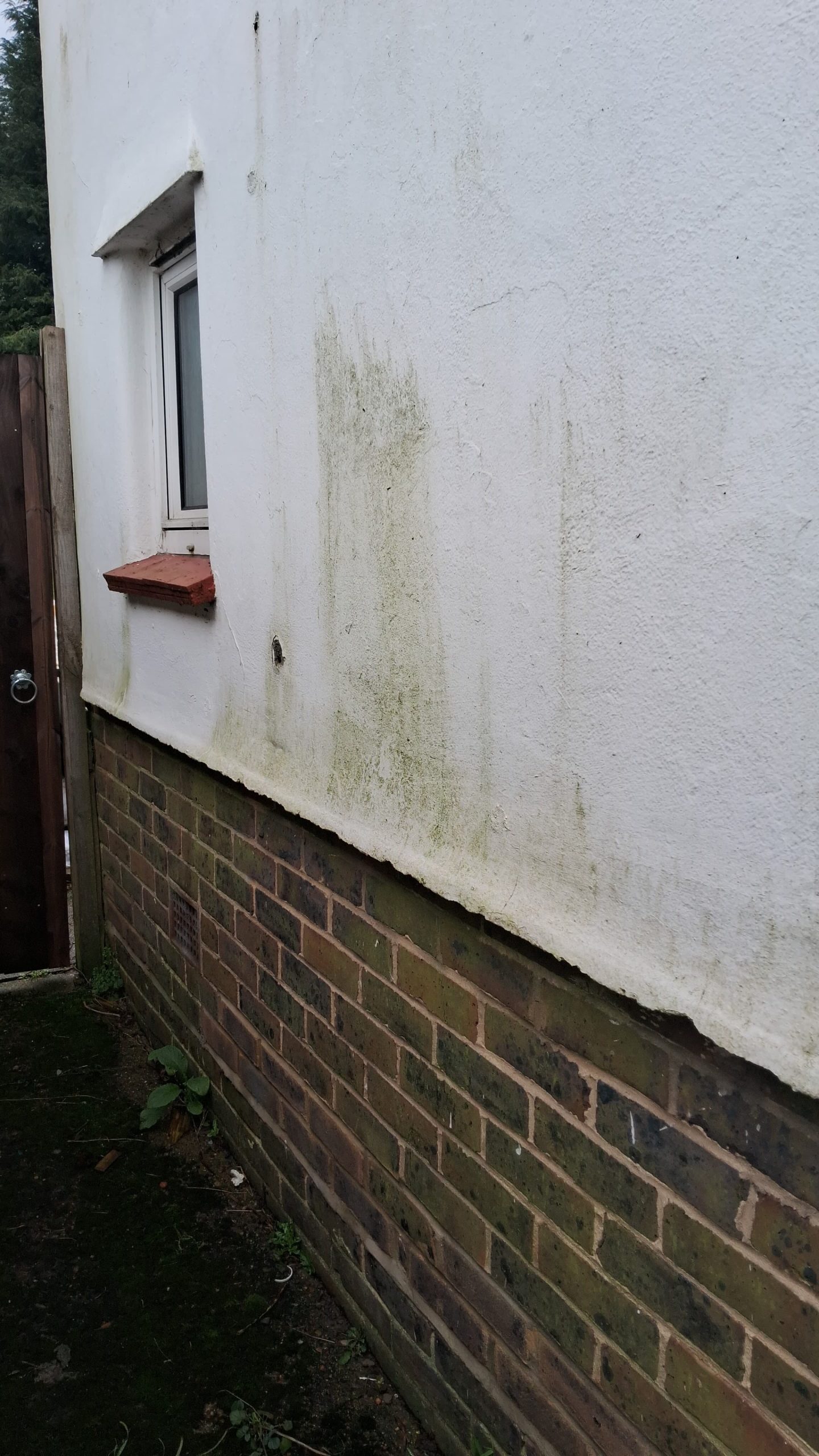 Housing disrepair and mold issues highlighted in national news