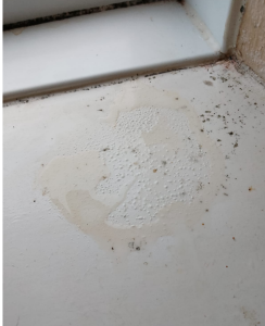 Severe Damp and Mould in Rochdale Rental Property