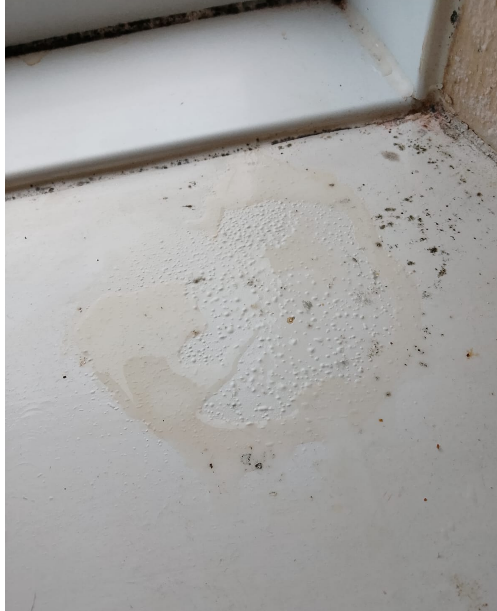 Severe Damp and Mould in Rochdale Rental Property