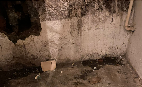 Tenant dealing with damp and mould issues in a rented property in Leighton Buzzard