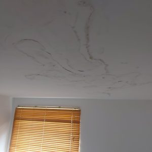 Damp and mould in rental property in Bury Manchester