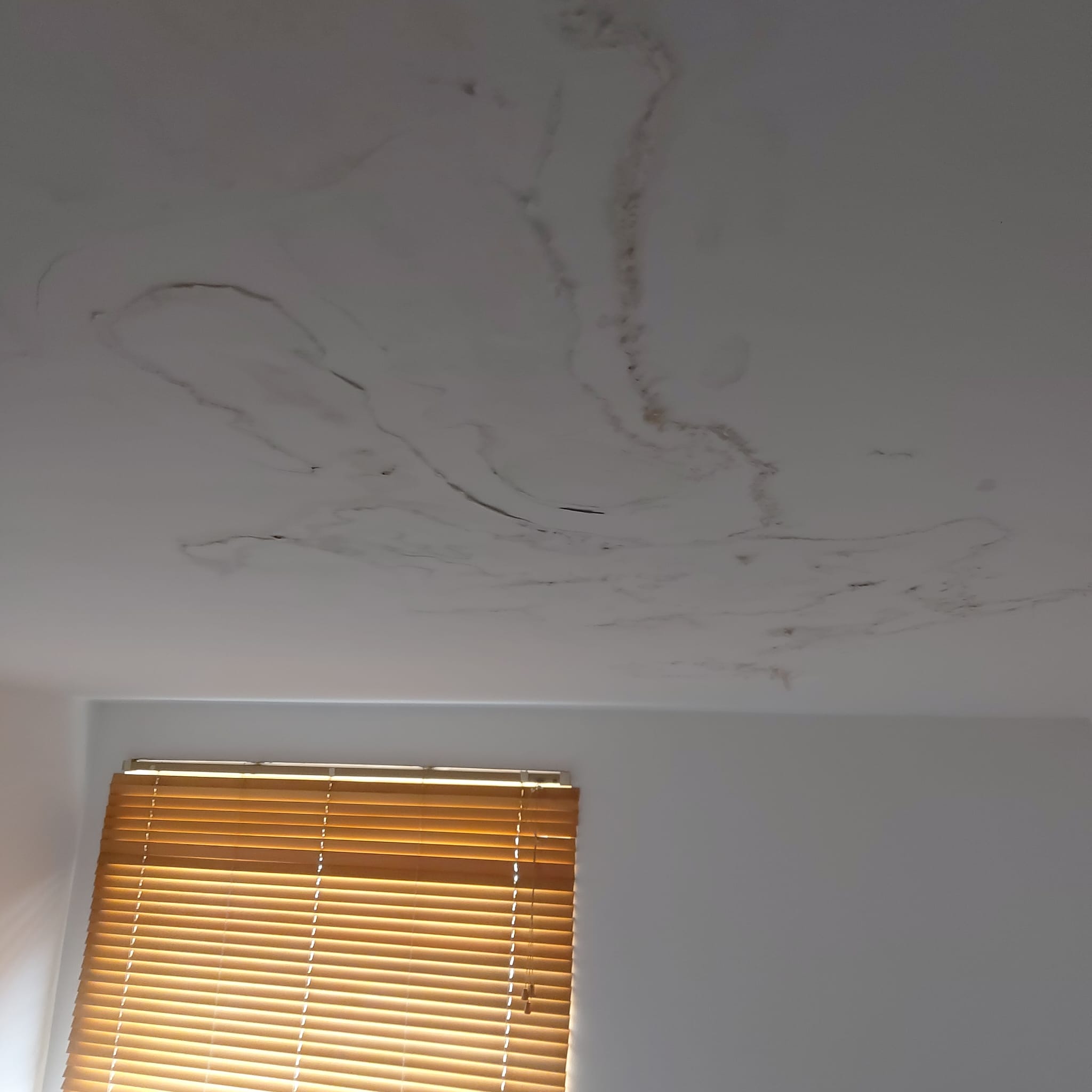 Damp and mould in rental property in Bury Manchester