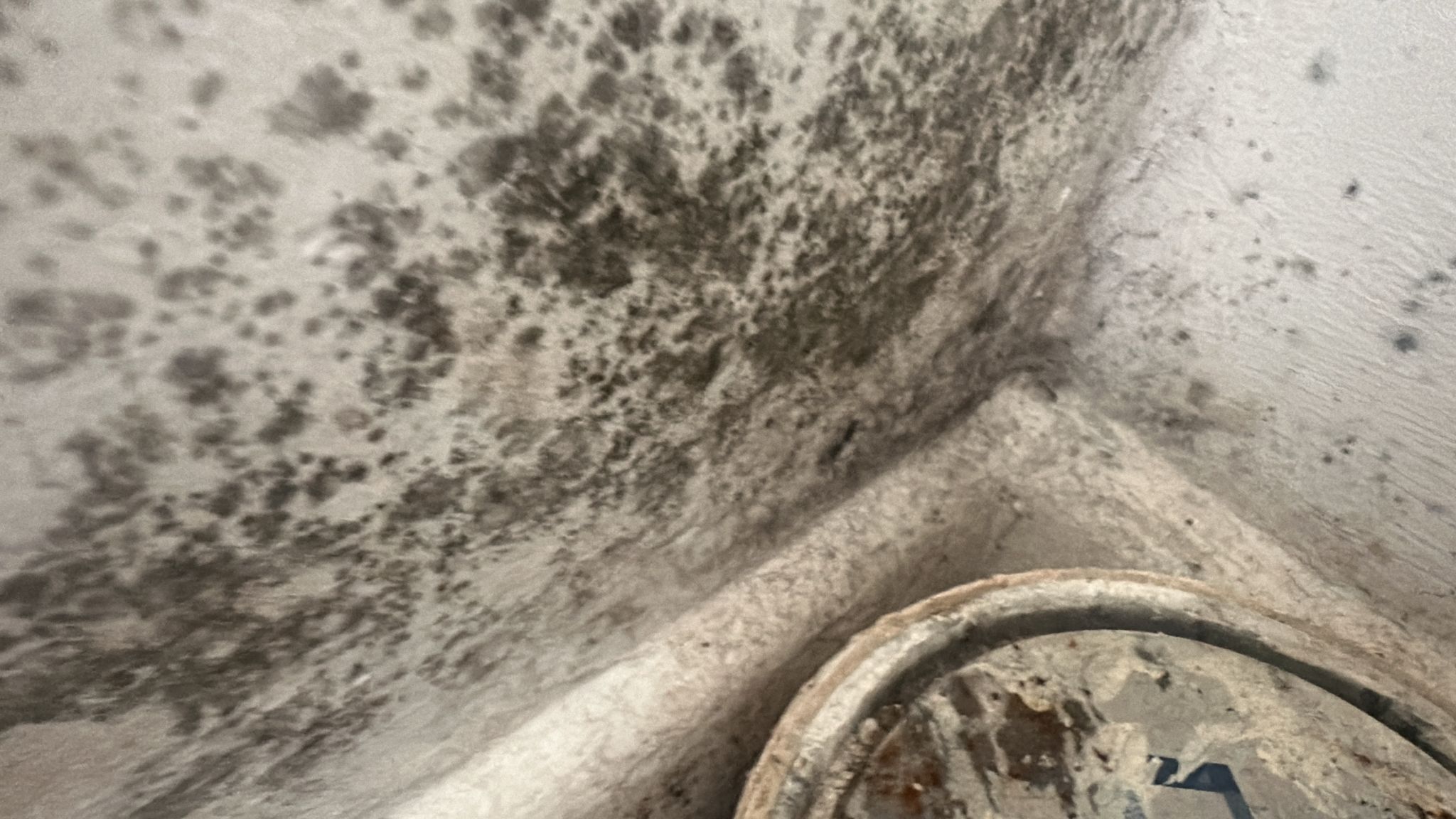 Damp and mold in a rental property in Alford