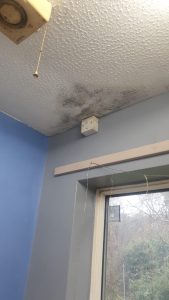Interior bedroom of a rented property with visible black mould on walls and ceiling corners, cold climate home, realistic, natural lighting, no people.