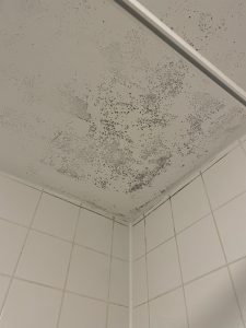 Black mould in rental property bedroom in Alnwick due to ongoing damp and landlord refusing repairs