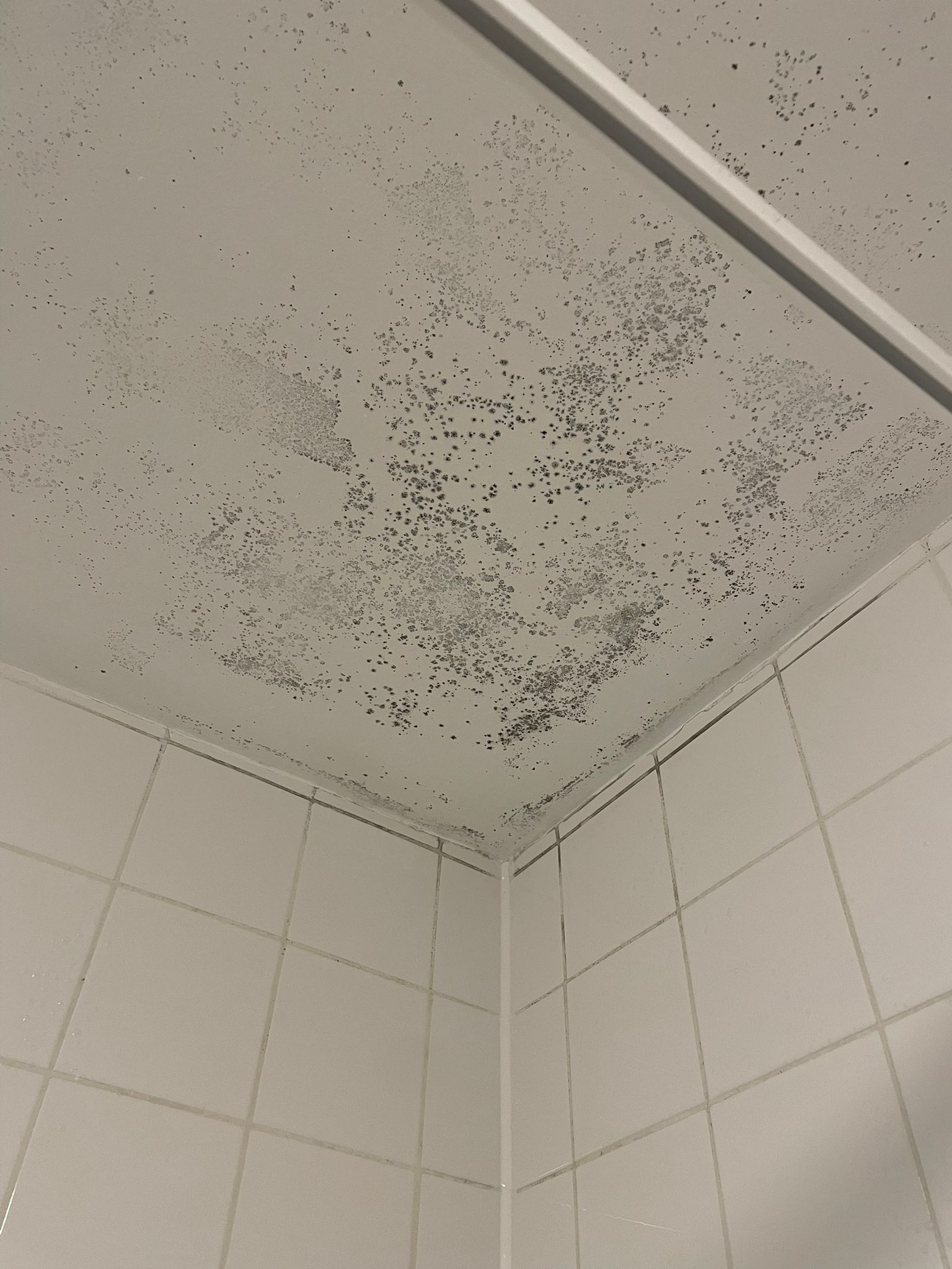 Black mould in rental property bedroom in Alnwick due to ongoing damp and landlord refusing repairs