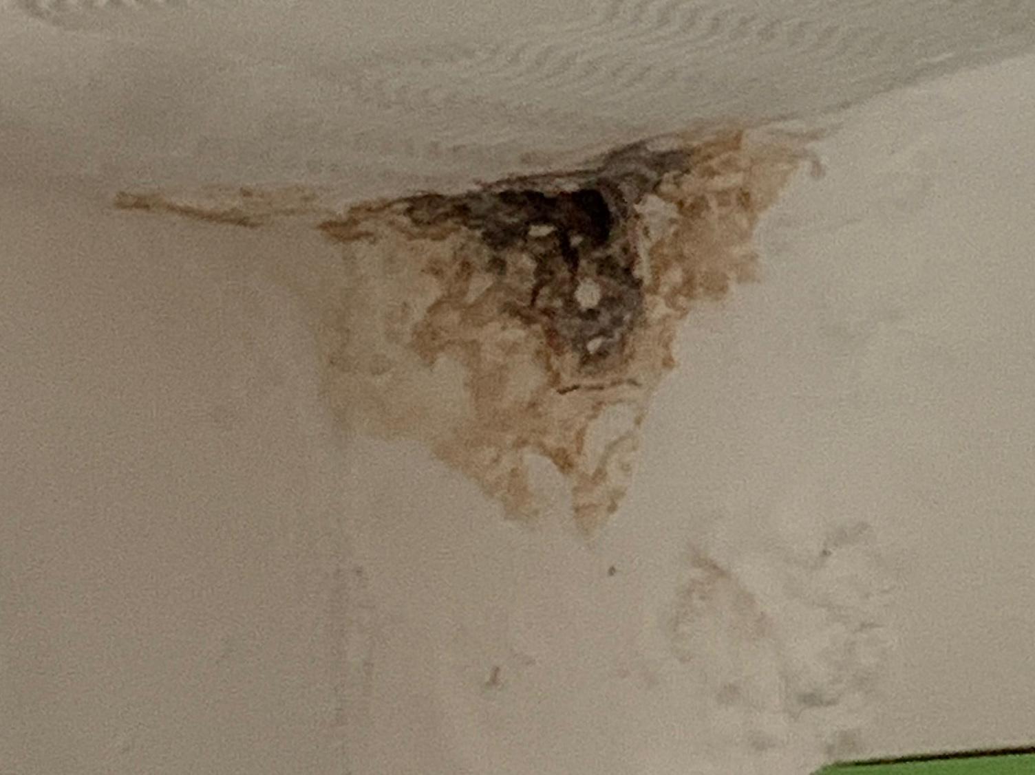 &ldquo;Stockport tenant checking damp and mould in their council housing property