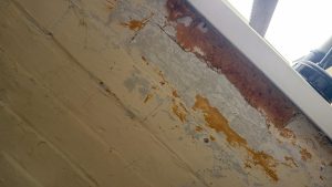 Black mould and damp inside a rental property in Bradford