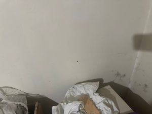Black mould in rental property in Middlesbrough bedroom wall due to housing disrepair